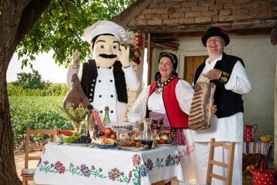 Gastro Show na petom Gastro Sremu- manifestaciji koja je dobila nagradu „Najbolje iz Vojvodine“