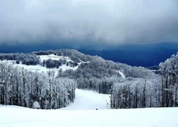 Stara planina pod snegom: smeši nam se sjajna skijaška sezona!