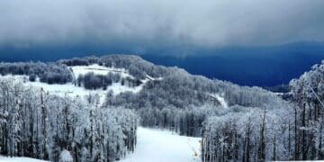 Stara planina pod snegom: smeši nam se sjajna skijaška sezona!