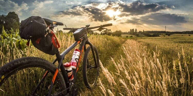 Avantura na dva točka: Vodič kroz najbolje biciklističke staze Srbije
