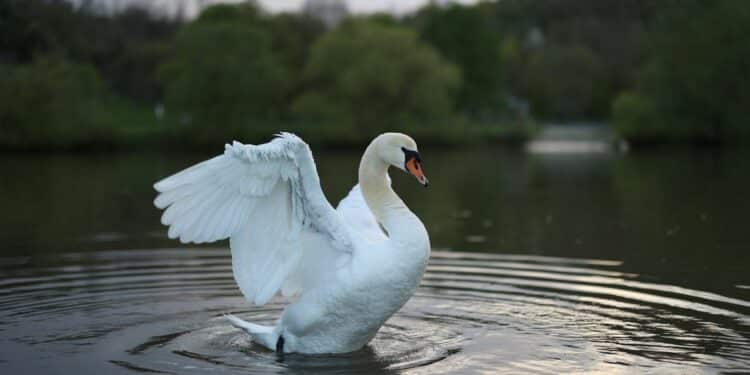 Srebrno jezero: Mesto gde priroda susreće avanturu