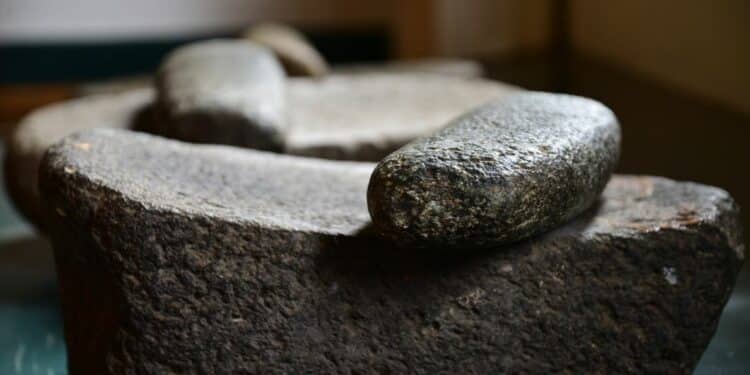 Lepenski Vir: Putovanje u srce praistorije