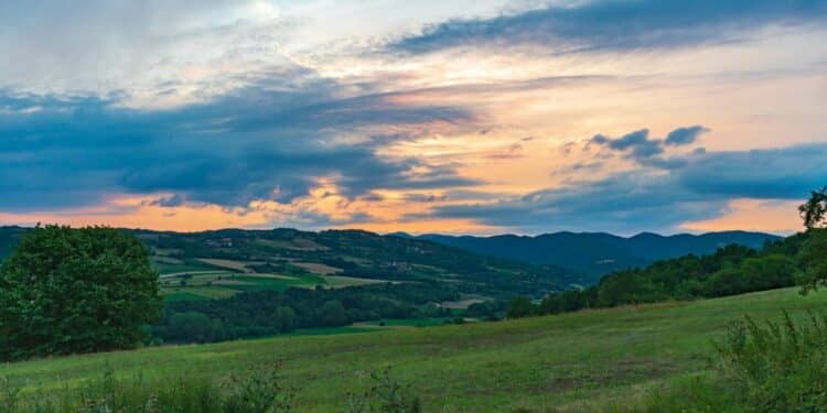 Letovanje na Goliji: Spoj mirnih šuma i adrenalinskih avantura