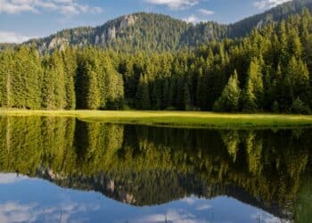 Čudesna priroda Srbije: Posetite najlepše parkove prirode