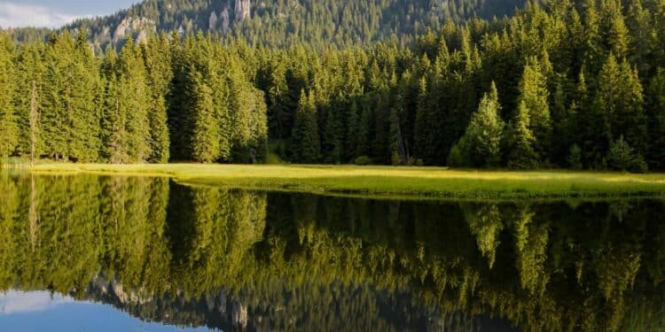 Čudesna priroda Srbije: Posetite najlepše parkove prirode