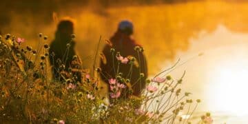 Najbolji ribolovni lokaliteti u Srbiji: Gde pecati za najbolji ulov