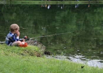 Najbolji ribolovni lokaliteti u Srbiji: Gde pecati za najbolji ulov