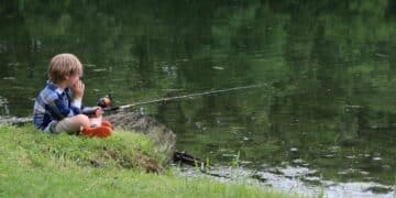 Najbolji ribolovni lokaliteti u Srbiji: Gde pecati za najbolji ulov