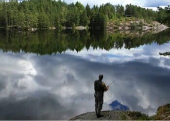 Najbolji ribolovni lokaliteti u Srbiji: Gde pecati za najbolji ulov