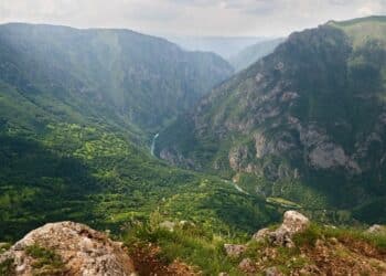 Otkrijte čari Tare ovoga leta: Raj za odmor i opuštanje