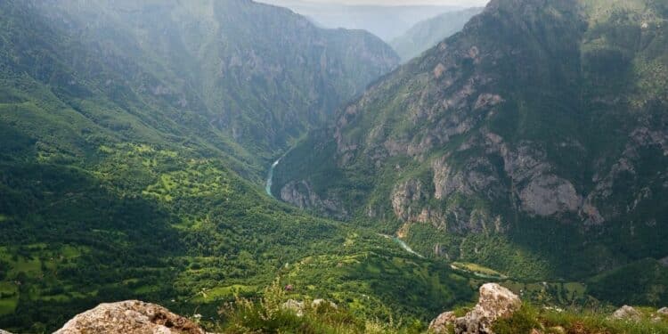 Otkrijte čari Tare ovoga leta: Raj za odmor i opuštanje