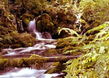 Otkrijte čari Tare ovoga leta: Raj za odmor i opuštanje