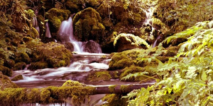 Otkrijte čari Tare ovoga leta: Raj za odmor i opuštanje