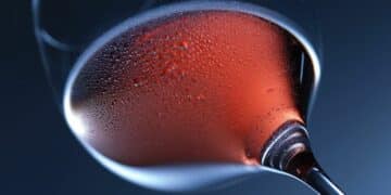 Uživanje u vrhunskoj kapljici: Vinski putevi Srbije