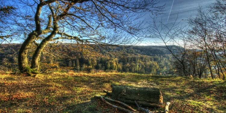 Pešterska visoravan: Gde priroda priča najlepše priče