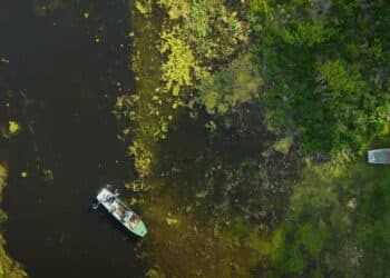 Između vode i zemlje: Čarolija Obedske bare