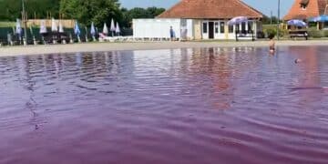 Otkrijte čari Pačir Banje: Tamo gde voda leči