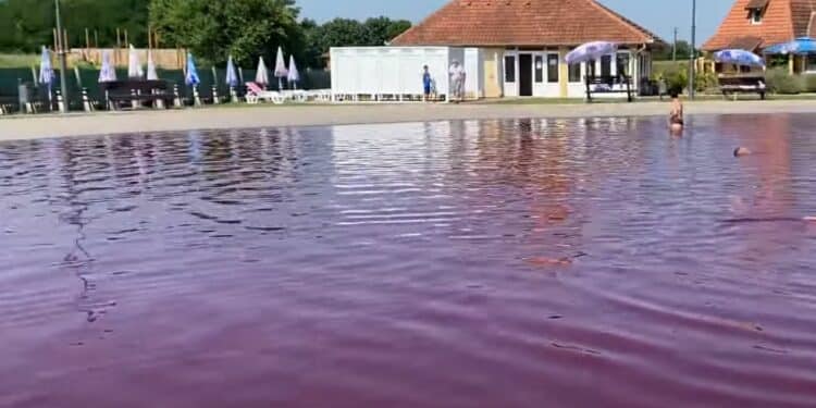 Otkrijte čari Pačir Banje: Tamo gde voda leči