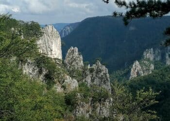 Za nestvarno lepe fotografije Tare: Pogled sa Sokolarice