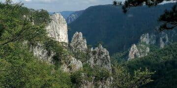 Za nestvarno lepe fotografije Tare: Pogled sa Sokolarice