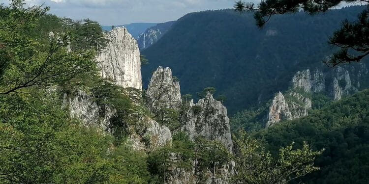 Za nestvarno lepe fotografije Tare: Pogled sa Sokolarice