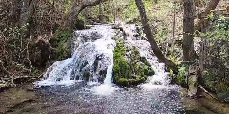 Čarobni izvori Taora: Gde priroda priča najlepše priče