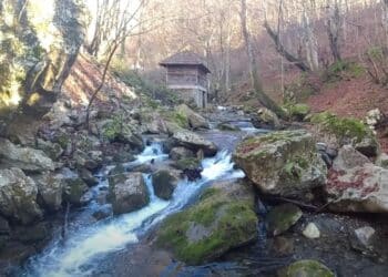 Priča koja ledi krv u žilama: Da li biste se usudili da posetite vodenicu Save Savanovića?