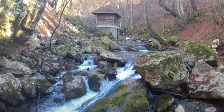 Priča koja ledi krv u žilama: Da li biste se usudili da posetite vodenicu Save Savanovića?