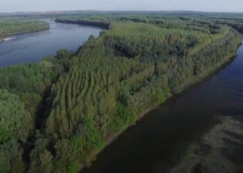 Ekoturizam u Bačkom Podunavlju: Upoznajte netaknutu prirodu Srbije