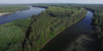 Ekoturizam u Bačkom Podunavlju: Upoznajte netaknutu prirodu Srbije