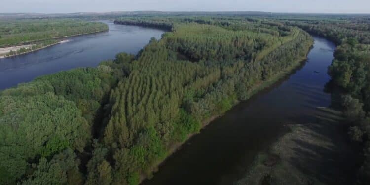 Ekoturizam u Bačkom Podunavlju: Upoznajte netaknutu prirodu Srbije