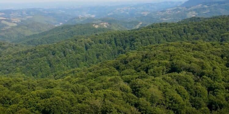 Magija Boranje: Planina tajni i prirodnih lepota
