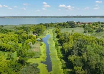 Misteriozna Carska bara: Dom kormorana i stotina vrsta ptica