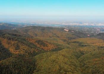 Fruška Gora: Planina mirnih šuma i svetih mesta
