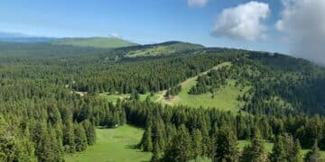 Kopaonik: Rajska planina koja nudi sve