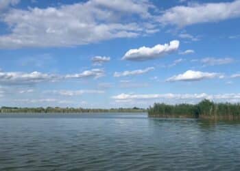 Prirodne lepote Ludaškog jezera: Mesto gde ćete provesti nezaboravan odmor