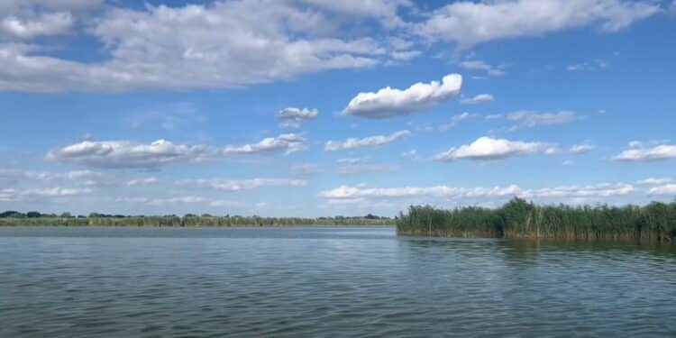 Prirodne lepote Ludaškog jezera: Mesto gde ćete provesti nezaboravan odmor