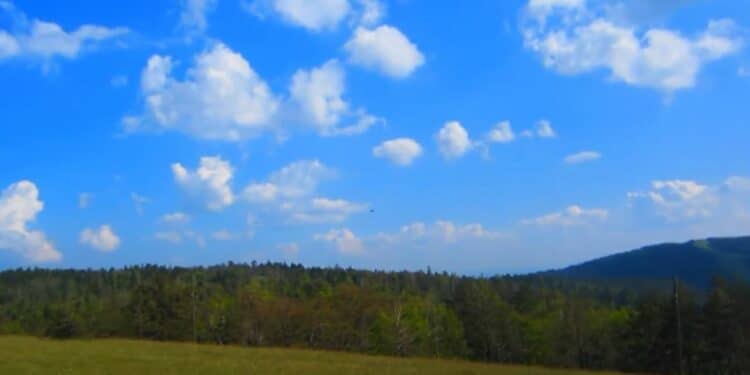 Maljen: Planina koja leči telo i duh