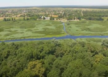 Misteriozna lepota Obedske Bare: Prirodni rezervat u srcu Srema