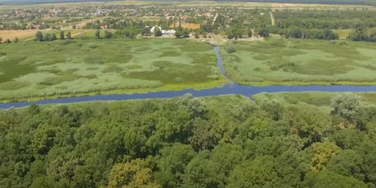 Misteriozna lepota Obedske Bare: Prirodni rezervat u srcu Srema