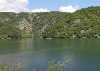Radoinjsko jezero: Vodena oaza Zlatiborskog okruga