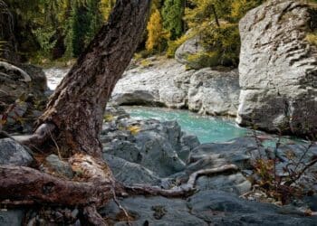 Šetnja uz Manastiricu: Otkrijte lepotu Divčibara