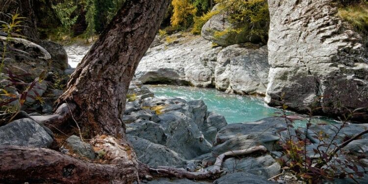 Šetnja uz Manastiricu: Otkrijte lepotu Divčibara