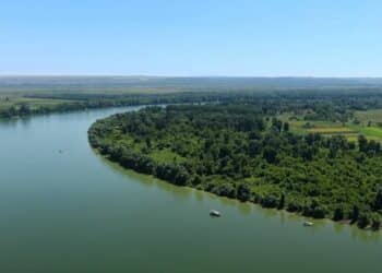 Sava: Od Sremske Rače do Beograda – Priča o reci i narodu