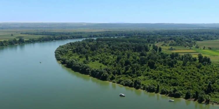 Sava: Od Sremske Rače do Beograda – Priča o reci i narodu