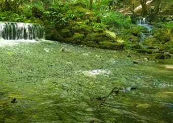 Grza: Vaš savršeni vikend u prirodi