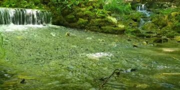 Grza: Vaš savršeni vikend u prirodi