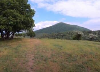 Uspon na Gudurički vrh: Planinarski izazov u srcu Vojvodine