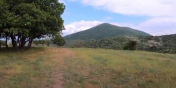 Uspon na Gudurički vrh: Planinarski izazov u srcu Vojvodine