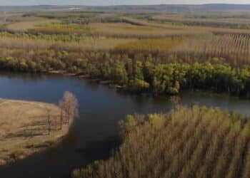 Prirodni mozaik uz Dunav: Koviljsko-Petrovaradinski rit